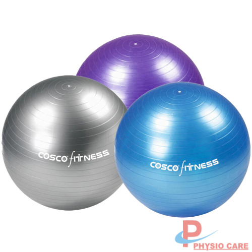 Physio Ball